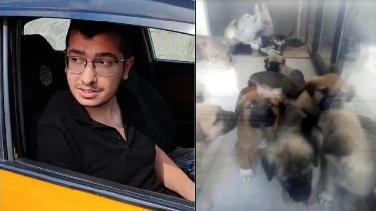 Doktorun evindeki dehşet: Sahiplendiği köpekleri öldürdüğü iddiasıyla tutuklandı