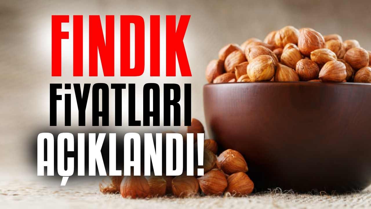 Fındık Fiyatları Zirveye Oynuyor: 7 Mayıs 2025 Serbest Piyasa ve TMO Güncel Fiyat Listesi Yayınlandı!