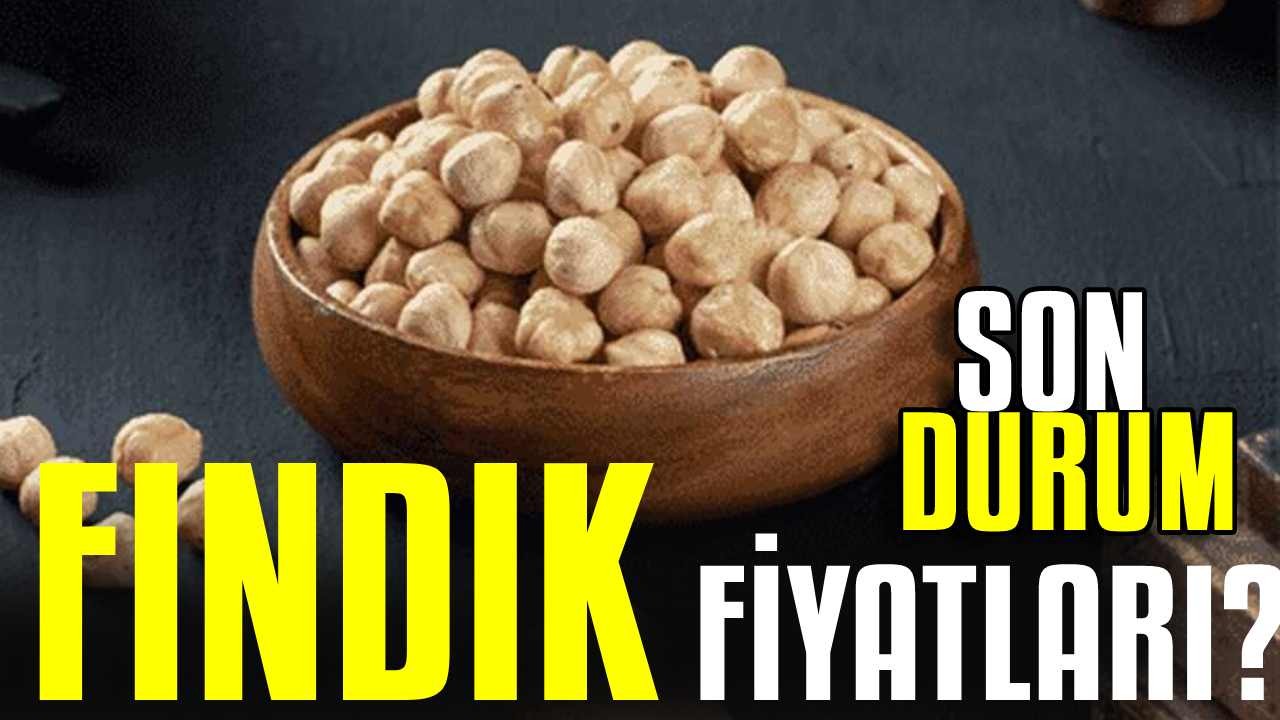 Fındık fiyatları cep yakıyor! Fındık fiyatı son durum: 8 Mayıs 2025 Perşembe itibarıyla güncel il il fiyatlar