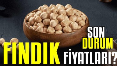 Fındık fiyatları cep yakıyor! Fındık fiyatı son durum: 8 Mayıs 2025 Perşembe itibarıyla güncel il il fiyatlar