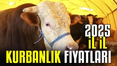 Kurbanlık fiyatları 2025'te CEP YAKIYOR! İstanbul, Ankara, İzmir'de dana, koyun ne kadar? İl İl CANLI KİLO fiyatları ve hisse bedelleri