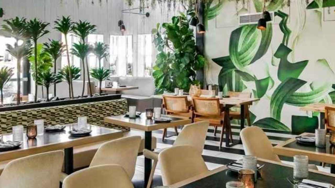 Planta