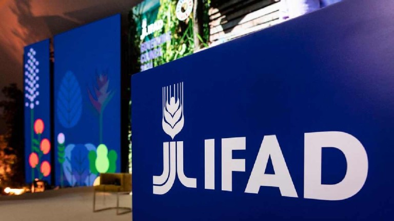 IFAD Başkanı Lario'dan Küresel Gıda Güvenliği İçin Hayati Uyarı: "Kırsal Kalkınma Olmadan Olmaz!"